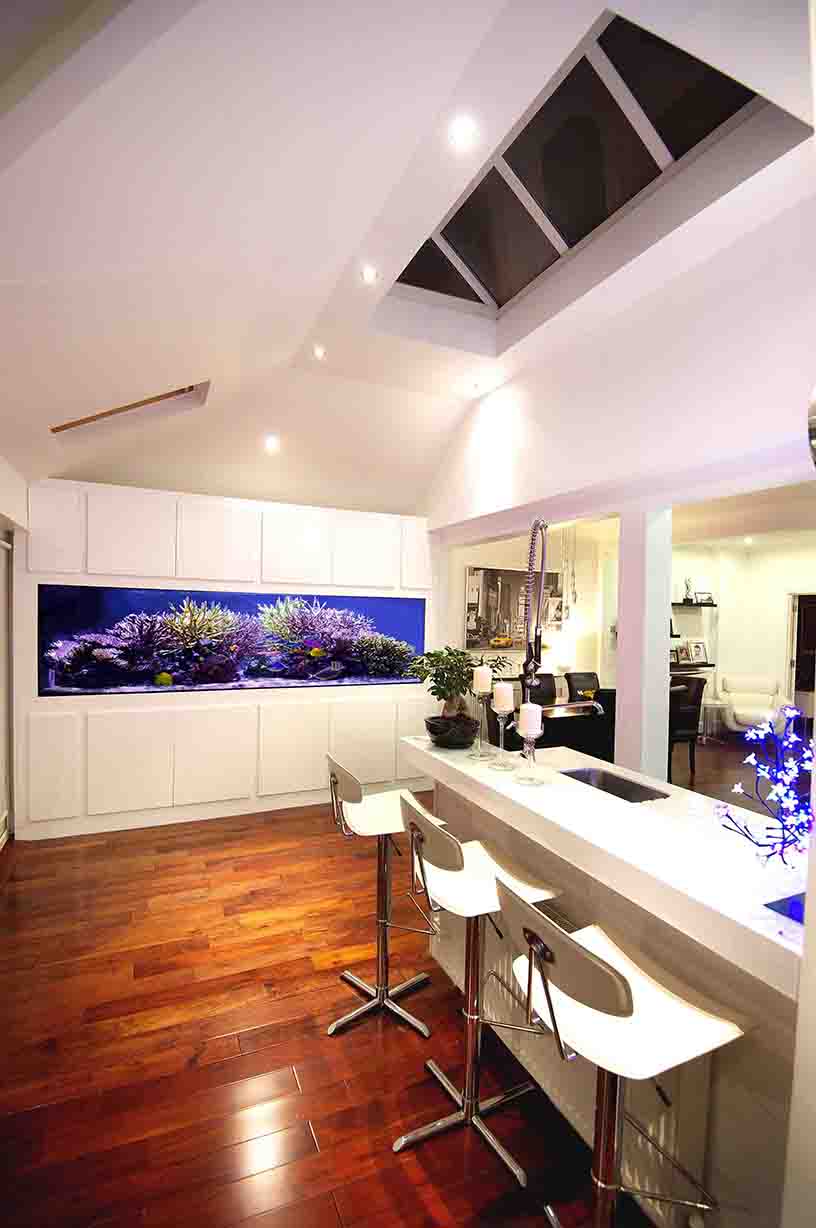 Marine Aquarium
